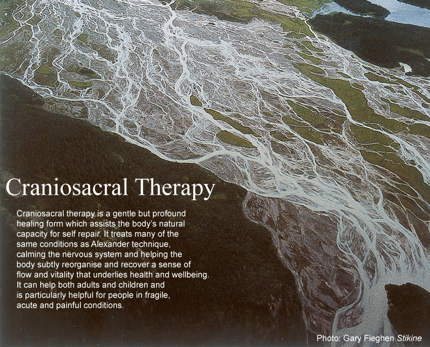 Craniosacral image